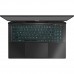 Ноутбук DREAM MACHINES RG4050-17 Black (RG4050-17UA21)