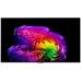 Телевізор OLED LG Evo AI G6 2026 OLED7764LW